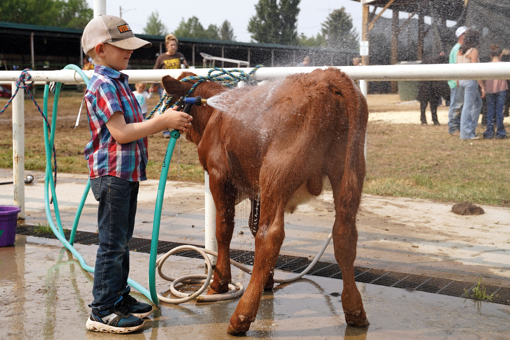 Beef Show Standalones 007.jpg